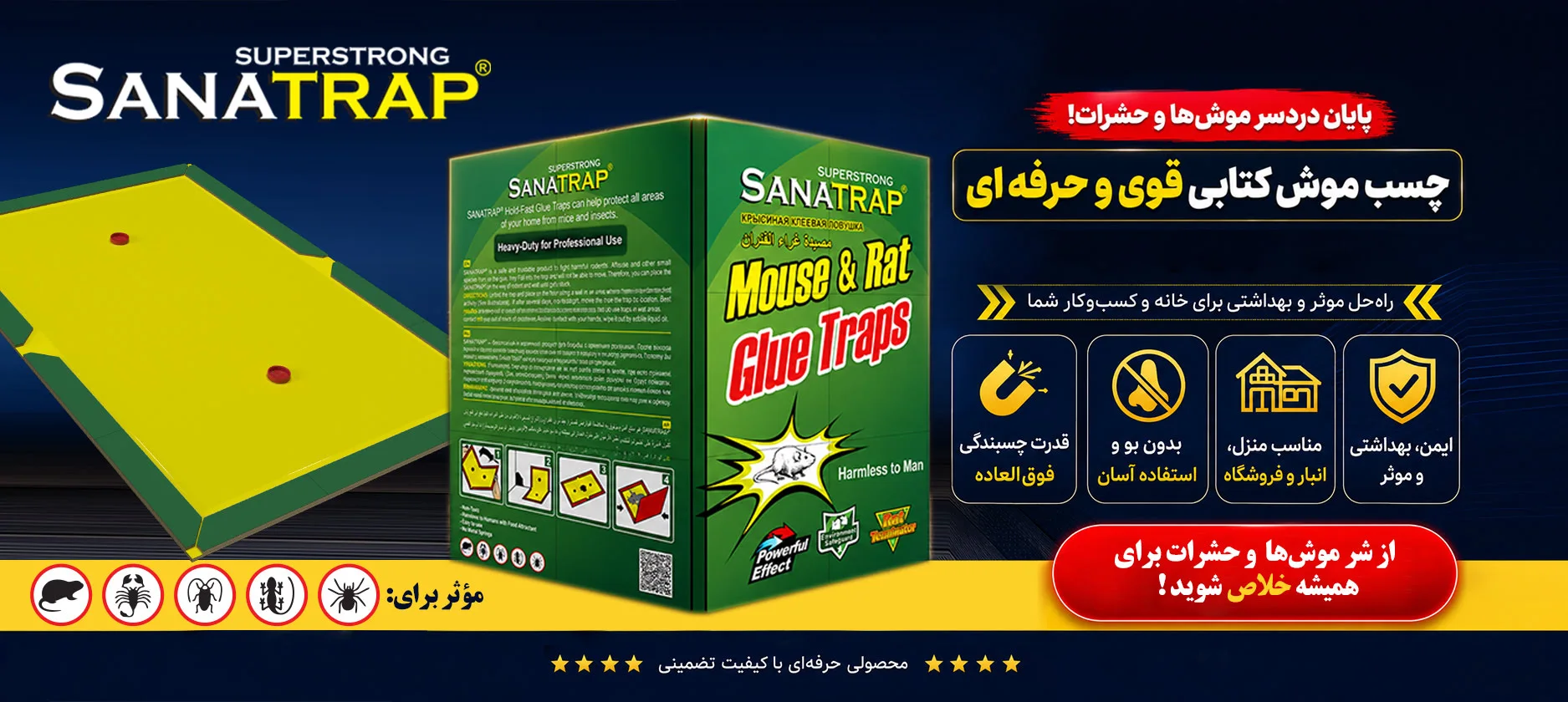 چسب موش کتابی